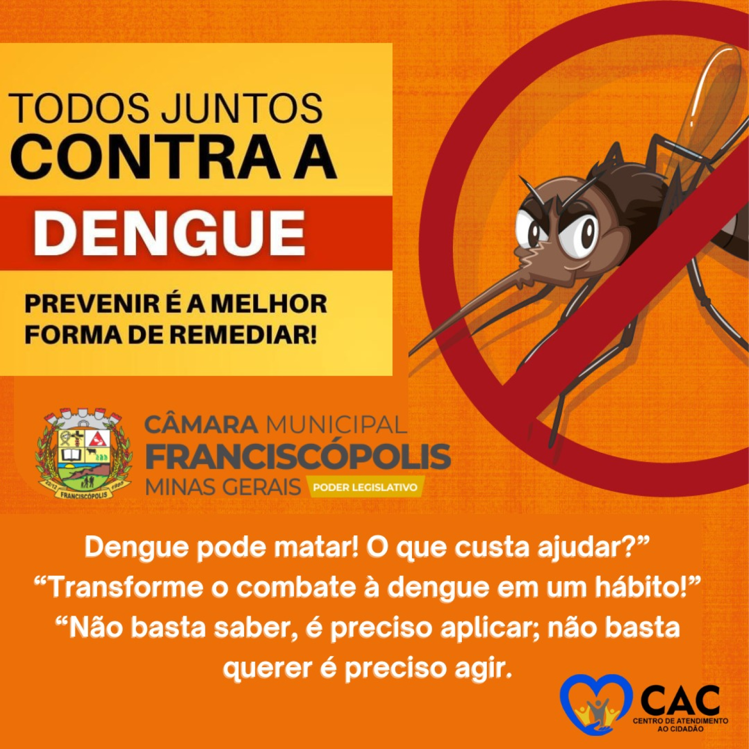 COMBATE A DENGUE